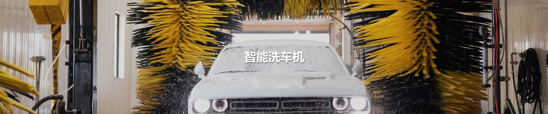 1win(中国区)官方网站